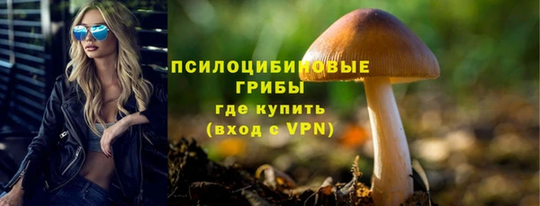 гидра Елабуга
