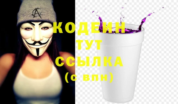 гидра Елабуга