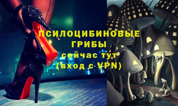 гидра Елабуга