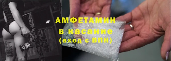 гидра Елабуга