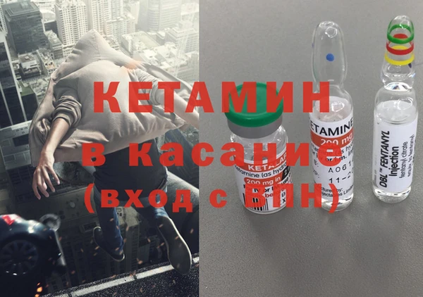 гидра Елабуга