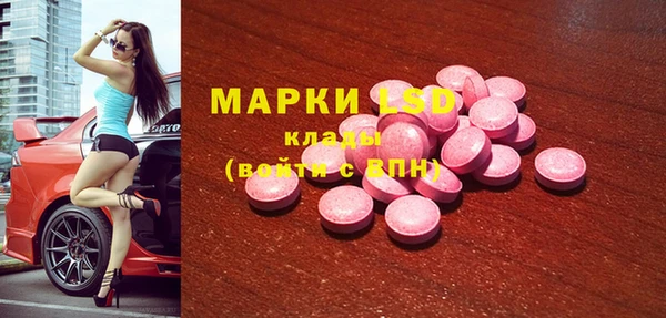 гидра Елабуга