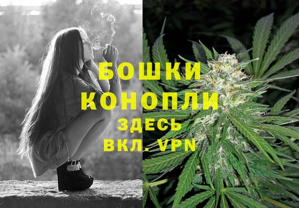 гидра Елабуга