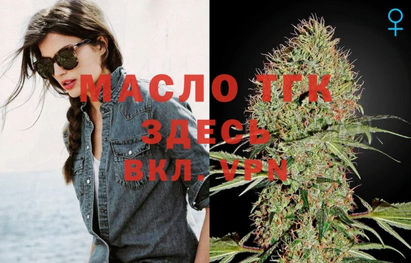 гидра Елабуга