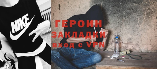 гидра Елабуга
