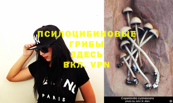 бутик Ельня