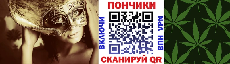 Конопля THC 21%  Купить где  Южно-Сухокумск 